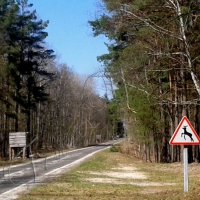 Мисливські угіддя повернуть державі