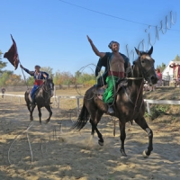 Кінна вистава