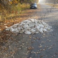 Бройлери штурмують Четвертинівку, або Чому люди блокують будівництво птахофабрики? Невже робота не потрібна?