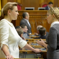 Крок до публічності роботи комітетів