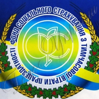 Як пройти реабілітацію за рахунок коштів  Фонду соціального страхування з тимчасової втрати працездатності