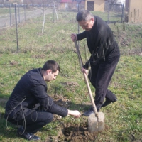 Стартувала акція «Посади дерево»