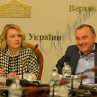 Для збільшення власного видобутку, або Що гальмує розвиток галузі?
