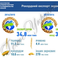 Експортні рекорди можуть призвести до дефіциту  продовольчого зерна