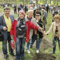 Черемхова алея для чорнобильців