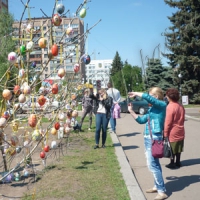 Розквітли «райські» дерева