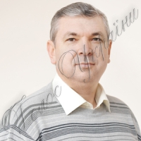 Чому «дрейфує» сосна?