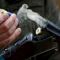 У полях дедалі частіше «зріють» бійки та стрілянина