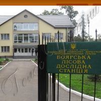 За бажання «кращого» знову вийде «як завжди?»