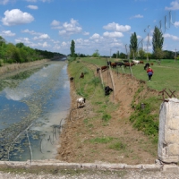 Водний дефіцит