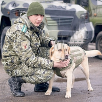 Місцем служби став фронт