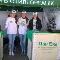 Без Срібної землі яка виставка…