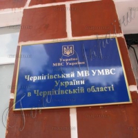 Вибори з кримінальними провадженнями