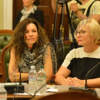 Парламент не може перетворюватися на голівудське шоу