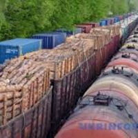 Замість дров експортують ділову деревину