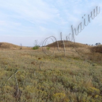 Хитрість не допомогла
