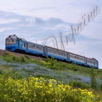 Цього разу постраждалих немає...