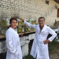 Березовий сік для воїнів АТО