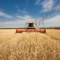 Націлені на рекорд