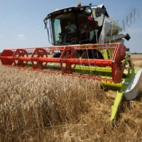 Аграрії планують завершити до серпня...