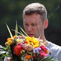 Тиждень терору в Німеччині