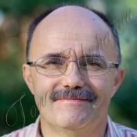 Фалеристичне розмаїття України: структуризувати, аби не здевальвувати остаточно