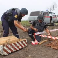 Замість грибів - міни та снаряди