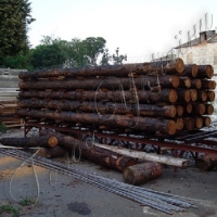 Суд конфіскував два вагони з лісом у дохід держави