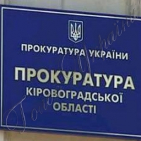 Горе-водія помістили під варту