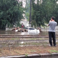 Смертельний ураган над пляжем