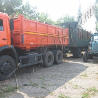 Нацгвардія без деревини не залишиться