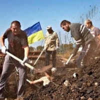 Шукають кошти, вкрадені зі <<Стіни>>