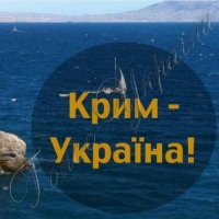 Токарєв у Києві не виступатиме
