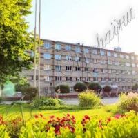 ЗНУ: Найбільше абітурієнтів хочуть бути міжнародниками та психологами...