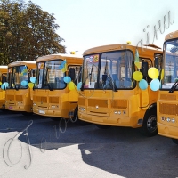 Для шкіл Кіровоградщини придбано 25 комфортабельних автобусів