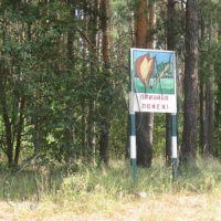 Вимагають повернути громадам <<колгоспні>> ліси