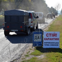 М’ясо із карантинної зони...