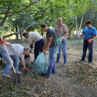 На міську толоку вийшли посадовці