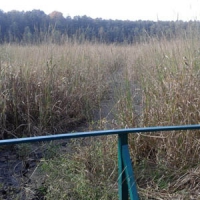 Висохло легендарне озеро Нечимне