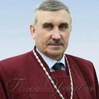 З окремих думок суддів Конституційного Суду України стосовно Висновку  у справі за зверненням Верховної Ради України щодо відповідності законопроекту  про внесення змін до Конституції України (щодо правосуддя) вимогам статей 157 і 158 Конституції