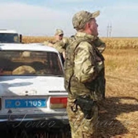 Побоїще на кукурудзяному полі
