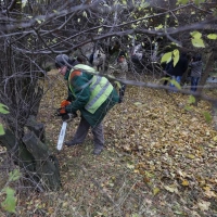 Реабілітаційний центре, з суботником!..