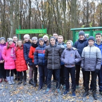 Волинь моя, краса моя, нехай ліс буде чистим!..