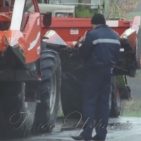 Змолотили та просто з поля… викрали: <<ужинок>> - ч.5 ст.185