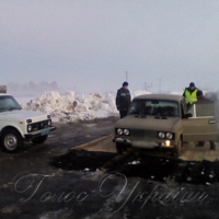 Худоба краю знову гине від АЧС