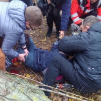 Стан дівчинки, на яку впало дерево, стабільний