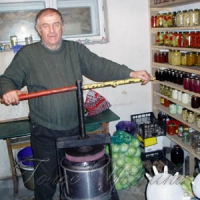 І на Верховині зріють сонячні грона!..