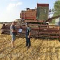 Обласний <<Урожай-2016>> з нив… нелегальної праці