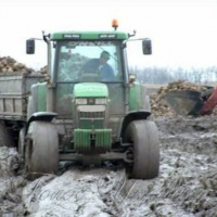 Чорні кагати на білих полях: втрати цукру очевидні, але незначні