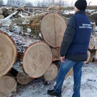 Дерева крали вночі